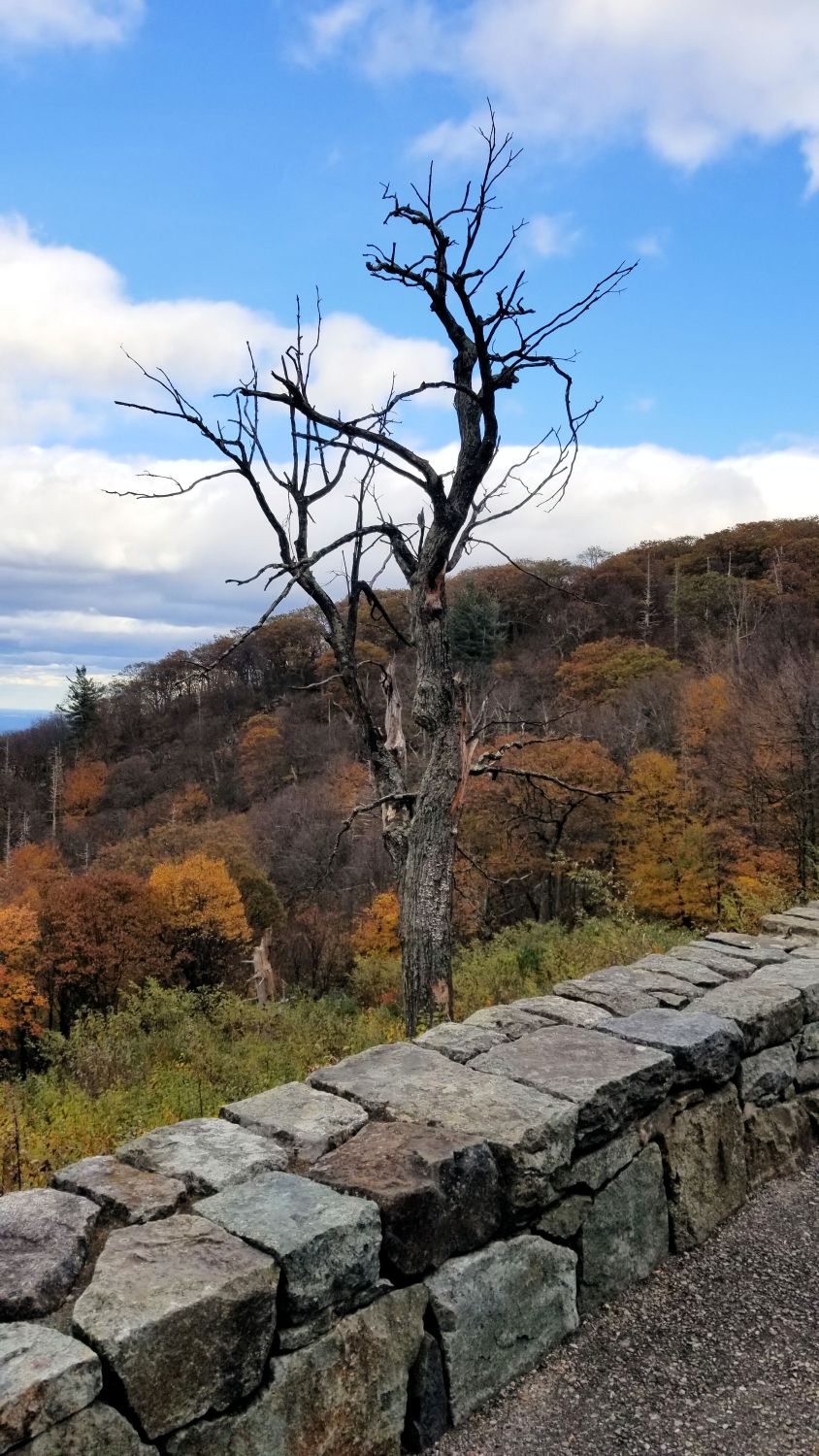 Scenic Drive Over Looks 